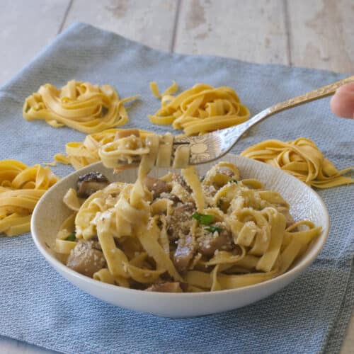 Tagliatelle with porcini