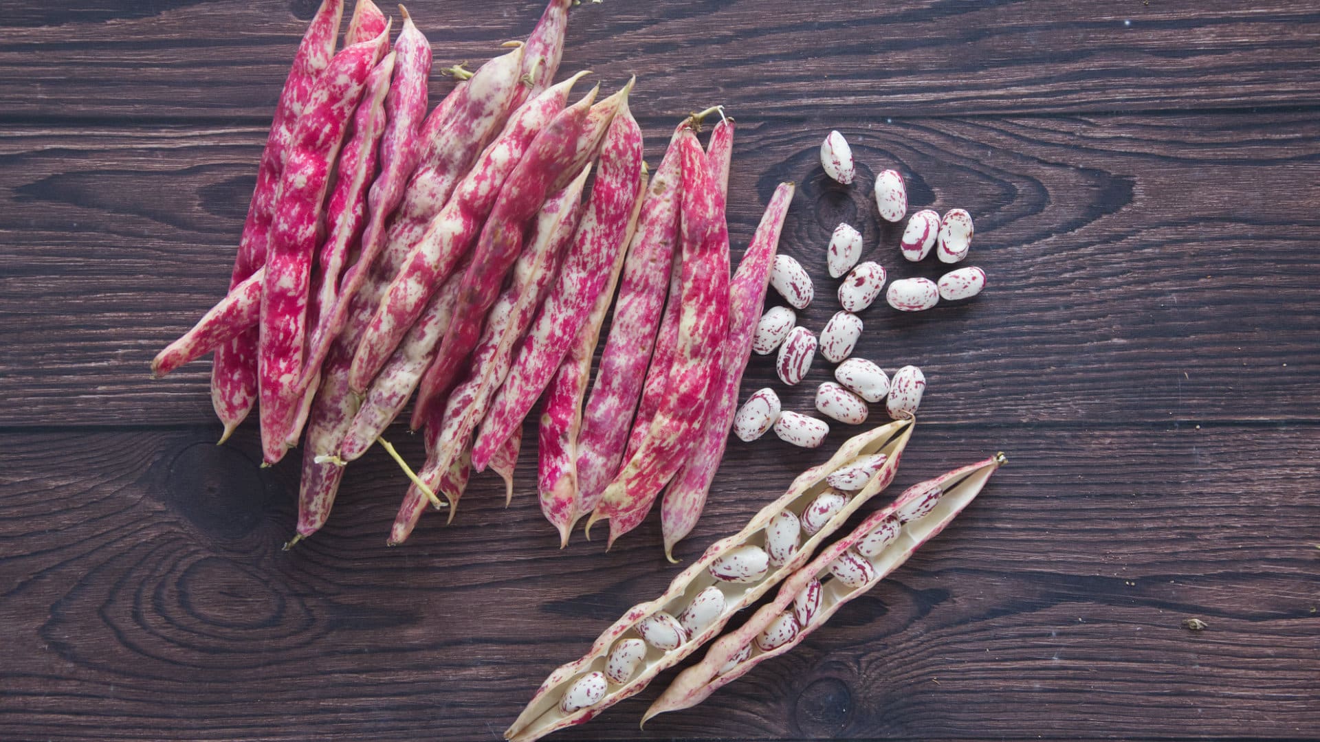 Borlotti beans are usually called cranberry beans in the US, and sometimes Roman beans.